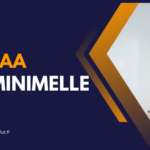 Lainaa toiminimelle [year]